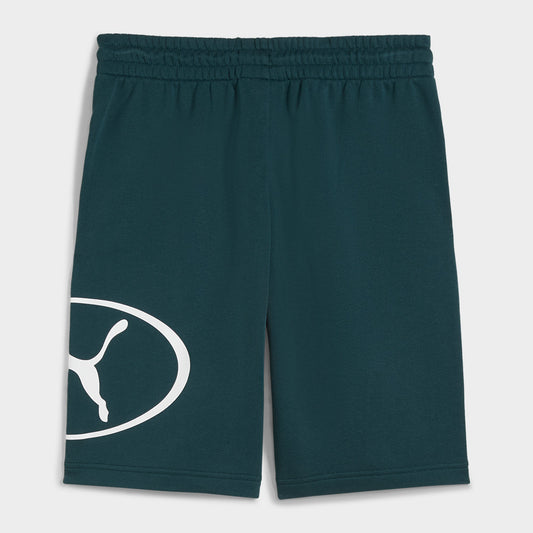 PUMA MENS Graphic 9 inch Shorts GREEN