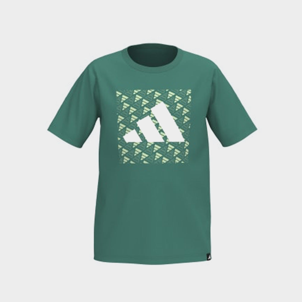 Adidas Youth Block Logo Tee Green