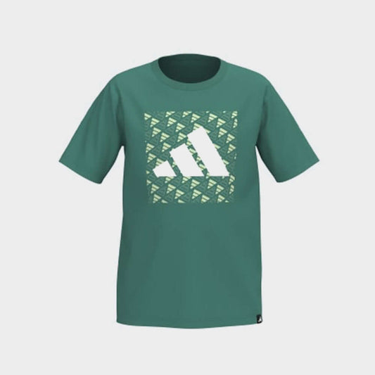Adidas Youth Block Logo Tee Green