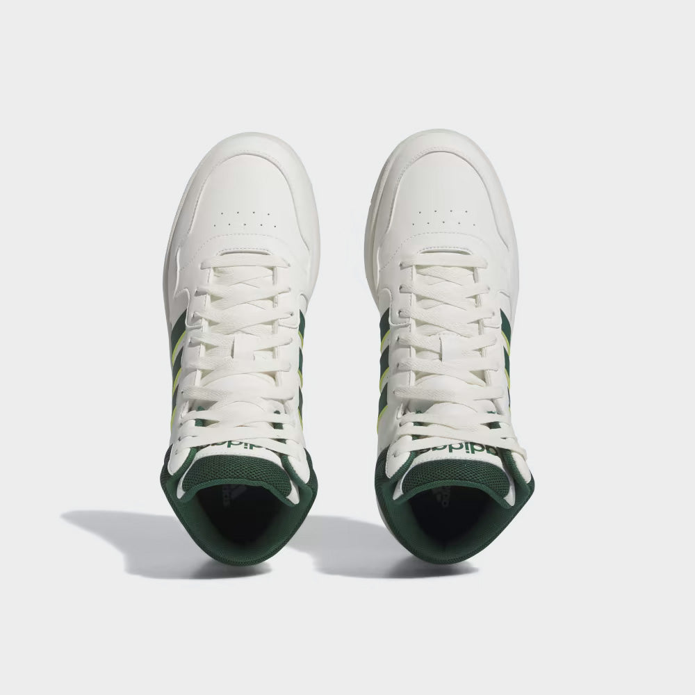 Hoops 3.0 Mid _ 173836 _ White