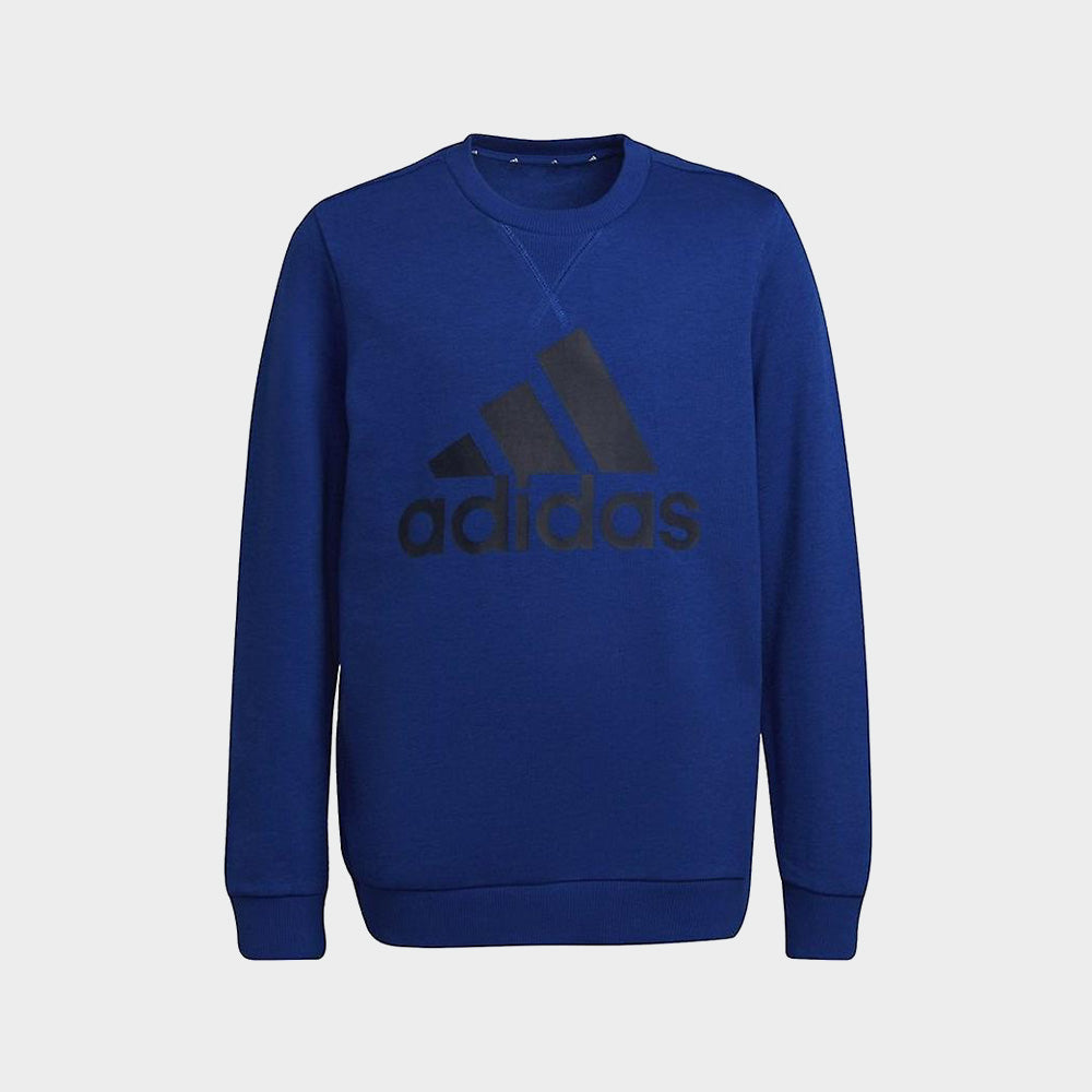 Adidas Mens Big Logo Future Icons Sweater Blue/Black _ 180840 _ Blue