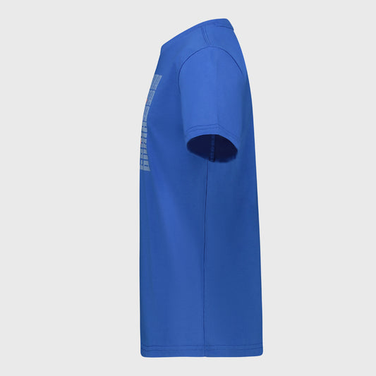 PUMA MENS Graphic Box Tee BLUE