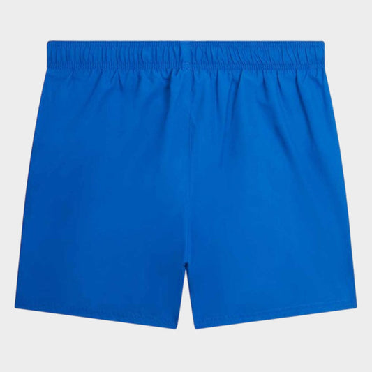Nike Mens Essential Lap 5 Inch Volley Short Blue