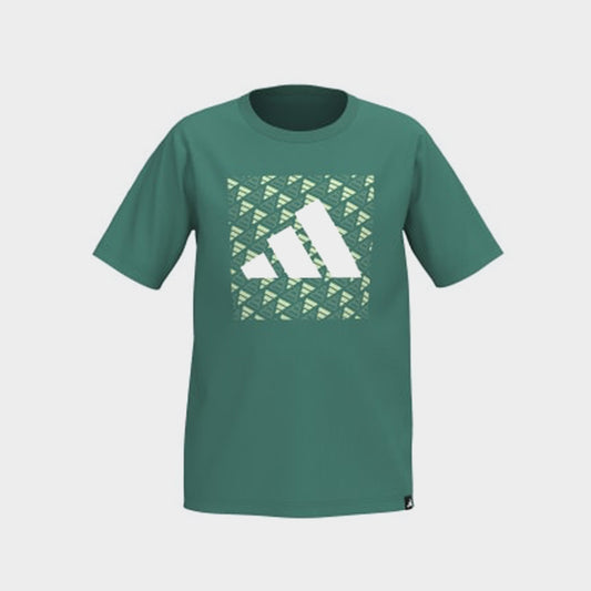 Adidas Youth Block Logo Tee Green